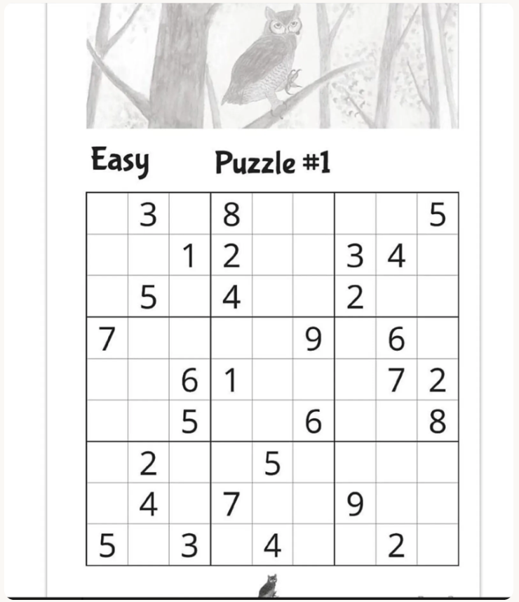 Large Print Owl Sudoku Puzzle Book: Four Difficulty Levels