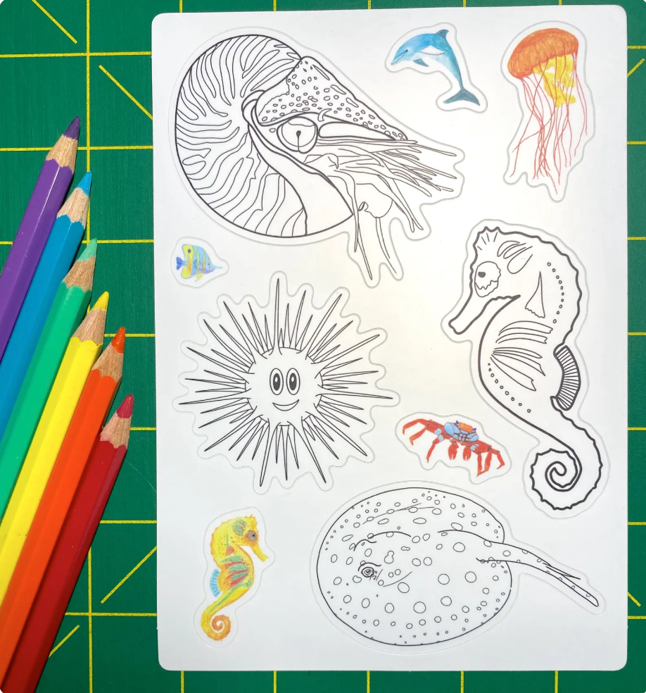 Aquatic Animals Coloring Sticker Sheet: Nautilus, Sea Urchin, Xingu Ray, Seahorse, Dolphin, Crab, Jellyfish