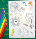 Aquatic Animals Coloring Sticker Sheet: Nautilus, Sea Urchin, Xingu Ray, Seahorse, Dolphin, Crab, Jellyfish