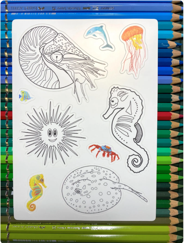 Aquatic Animals Coloring Sticker Sheet: Nautilus, Sea Urchin, Xingu Ray, Seahorse, Dolphin, Crab, Jellyfish
