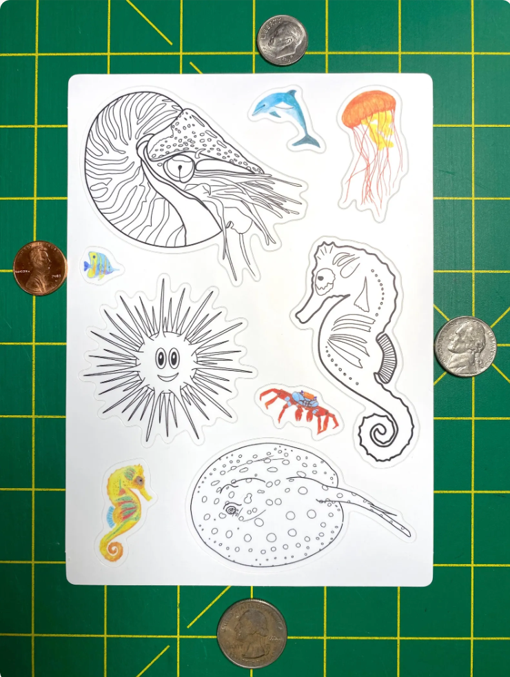 Aquatic Animals Coloring Sticker Sheet: Nautilus, Sea Urchin, Xingu Ray, Seahorse, Dolphin, Crab, Jellyfish