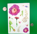 Flower Sticker Sheet: Peony, Tulip, Chokecherry, Wildflowers, Gerbera Daisy, Sweet Pea Bud