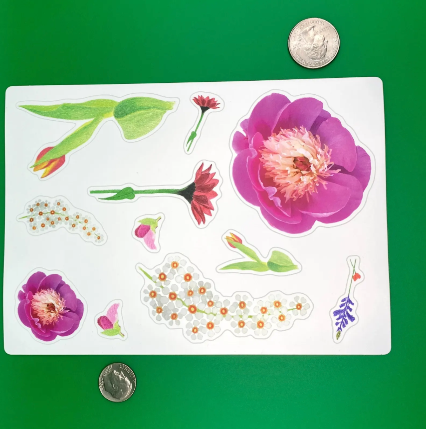 Flower Sticker Sheet: Peony, Tulip, Chokecherry, Wildflowers, Gerbera Daisy, Sweet Pea Bud