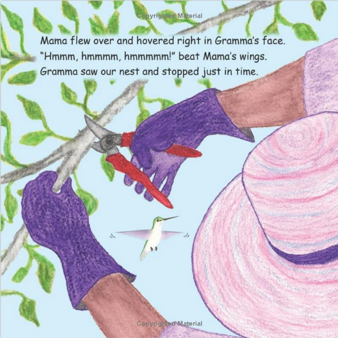 Signed Baby Hummer Grows Up: Hummingbird Adventure Children's Book - Choose Hardcover or Paperback
