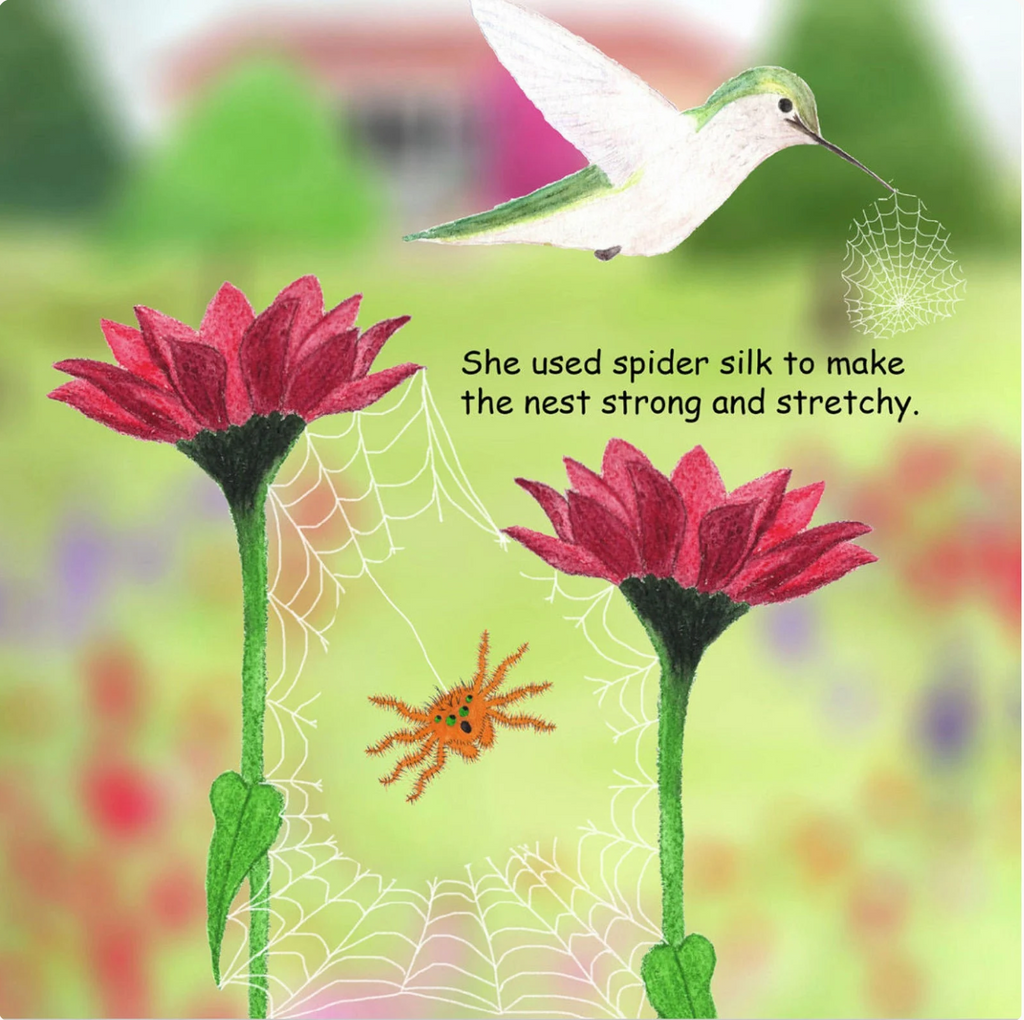 Signed Baby Hummer Grows Up: Hummingbird Adventure Children's Book - Choose Hardcover or Paperback