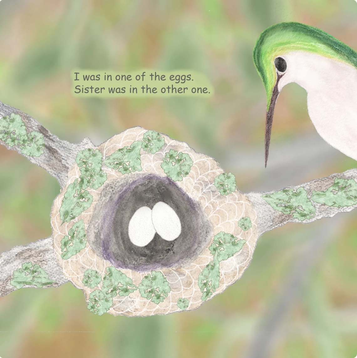 Signed Baby Hummer Grows Up: Hummingbird Adventure Children's Book - Choose Hardcover or Paperback