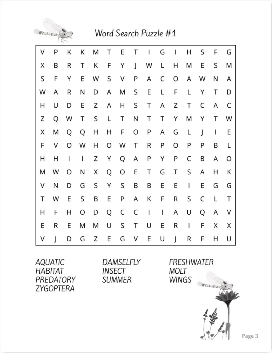 Dragonfly Lover Variety Puzzle Book: Word Search, Sudoku, Mazes, Crosswords