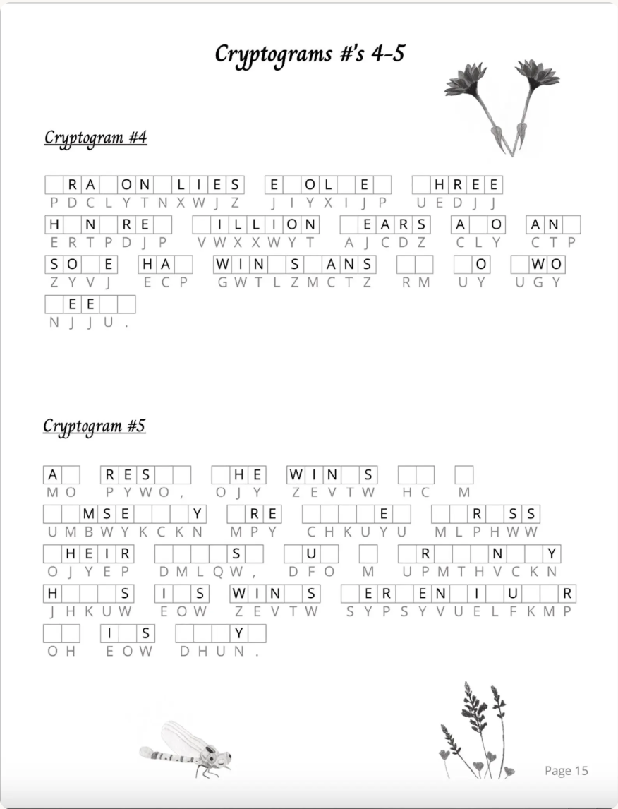 Dragonfly Lover Variety Puzzle Book: Word Search, Sudoku, Mazes, Crosswords