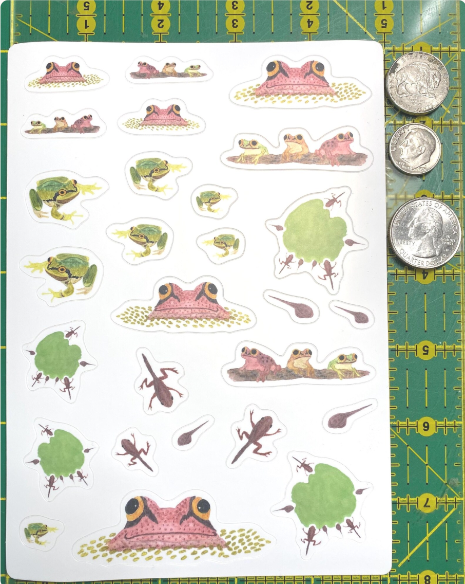 Frog and Tadpole Sticker Sheet