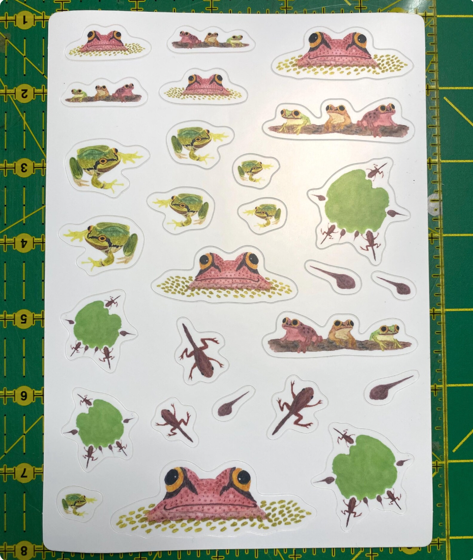 Frog and Tadpole Sticker Sheet