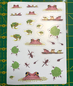 Frog and Tadpole Sticker Sheet