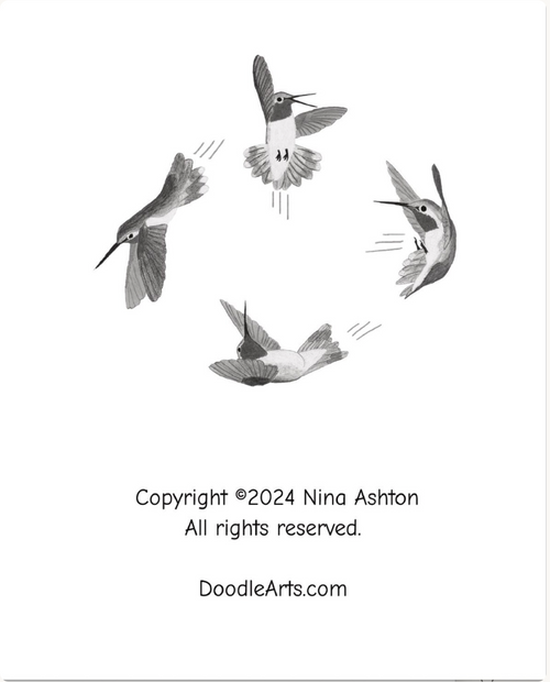 Acrobatic Hummingbirds Composition Notebook: College Ruled for Bird Lovers of All Ages