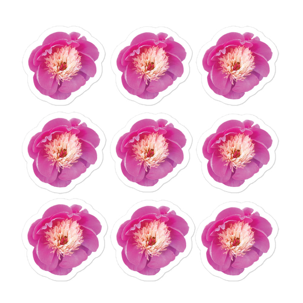 nine pink peony vinyl stickers